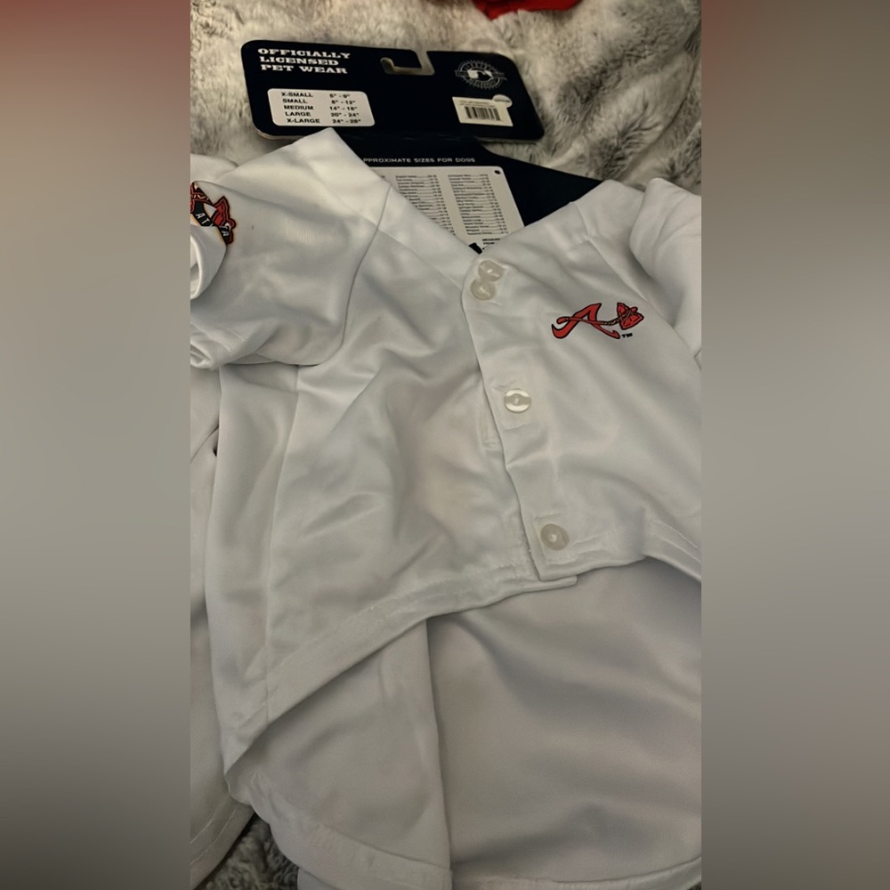 Atlanta Braves Dog Fan Gear